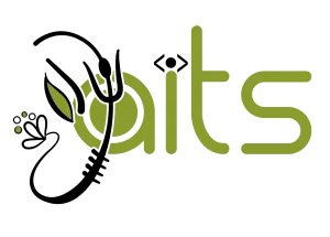Atharva IT Solutions